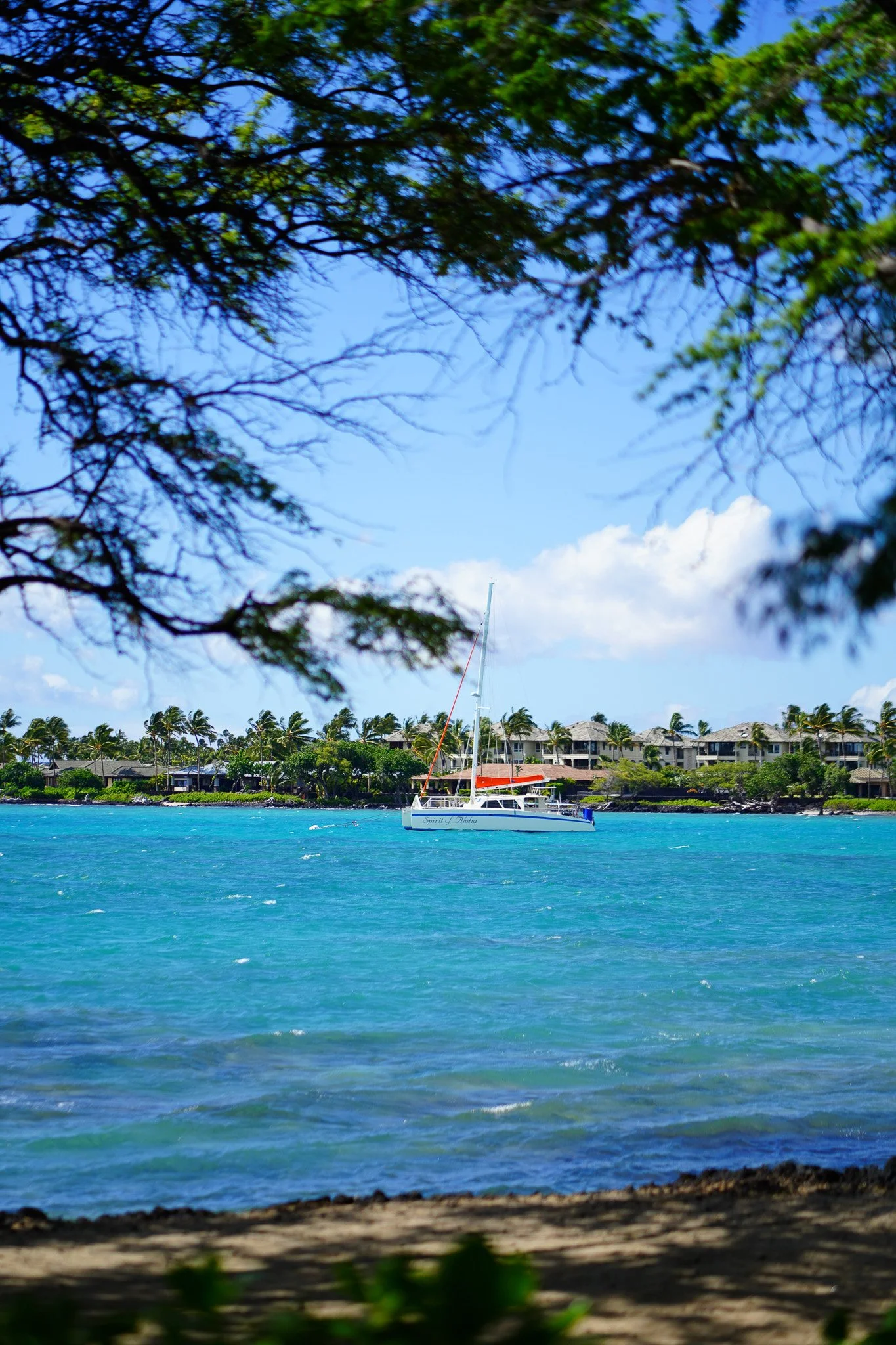 Hale Wa'a at Lava Lava Cottages