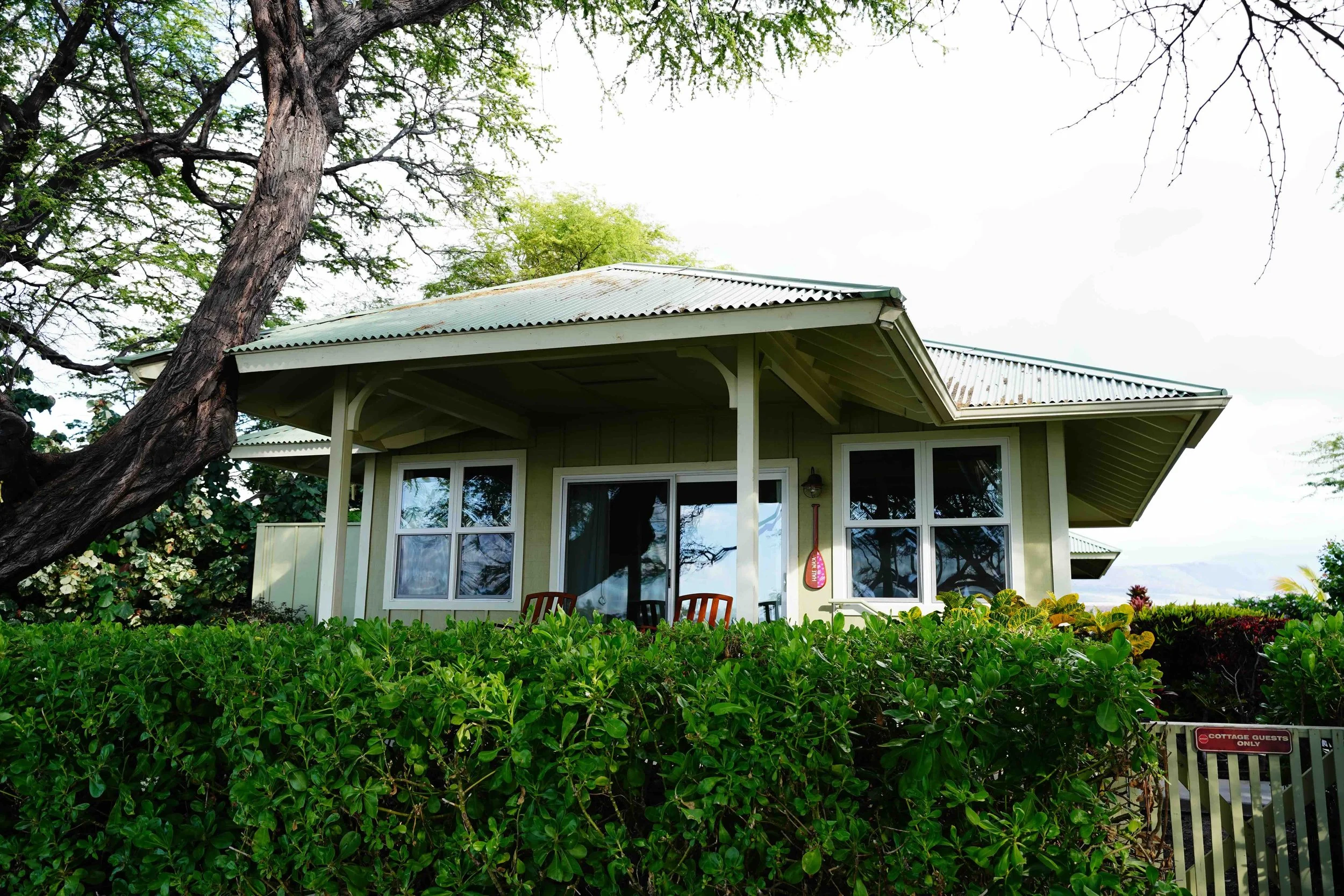 Cottage exterior with corrugated metal roof surrounded by greenery