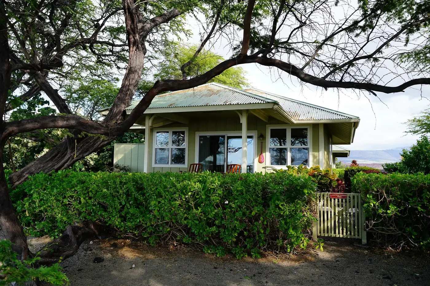 Hale Wa'a beneath its sprawling shade tree